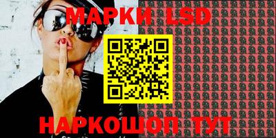 тгк Новозыбков