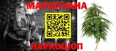 тгк Новозыбков