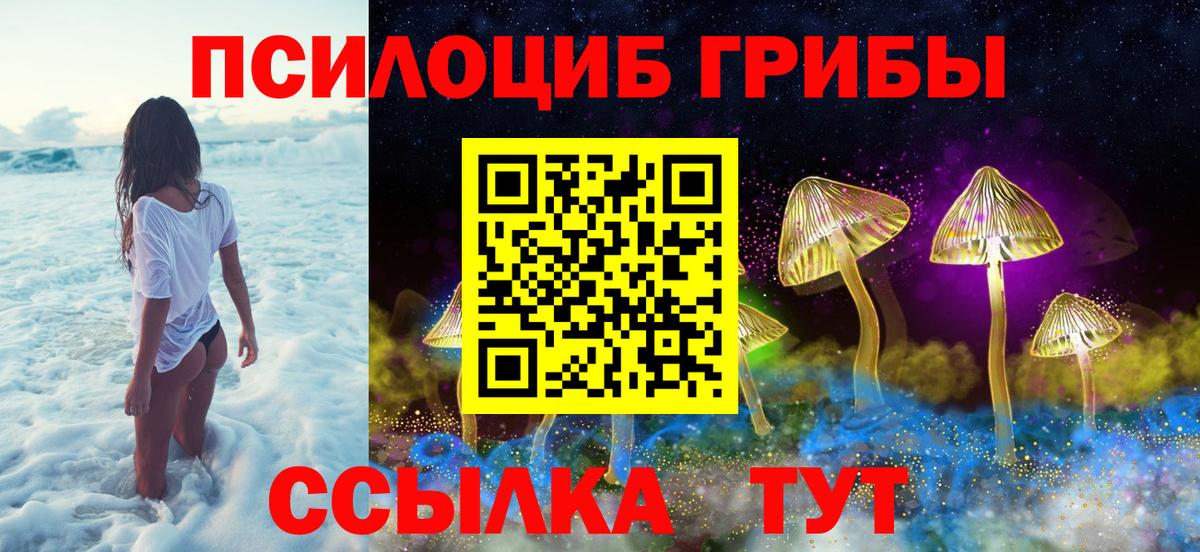 Псилоцибиновые грибы Cubensis  Вход с VPN  Сибай 