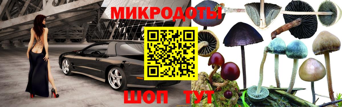 Псилоцибиновые грибы MAGIC MUSHROOMS Сибай